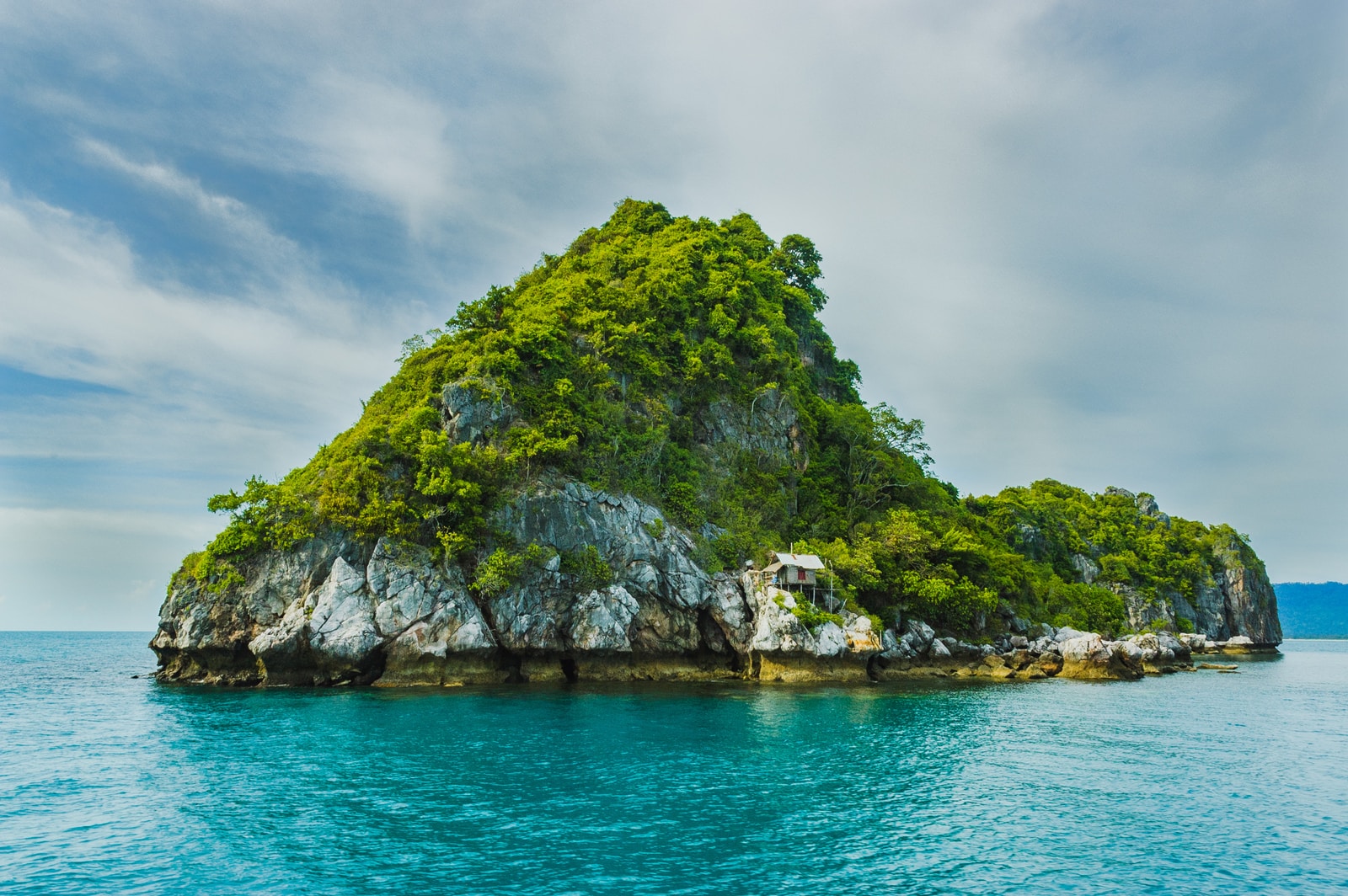 green trees on cliff